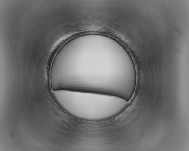 X0000110881214200906180938