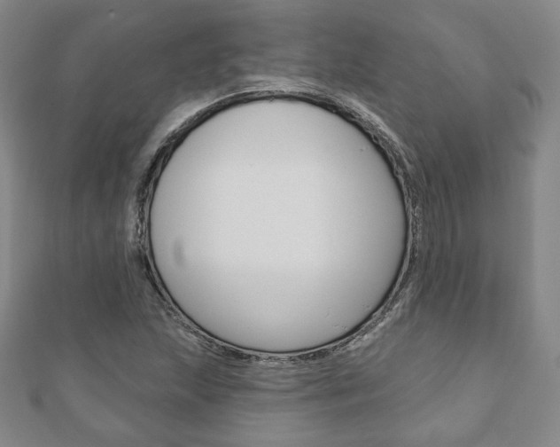 X0000110881215200906180938