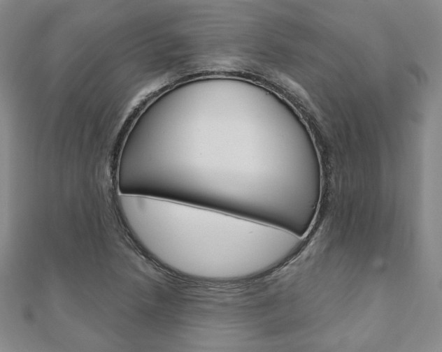 X0000110881218200906180938