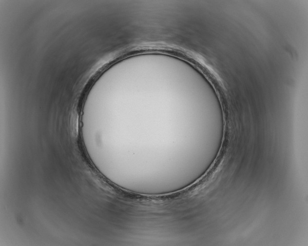 X0000110881221200906180938