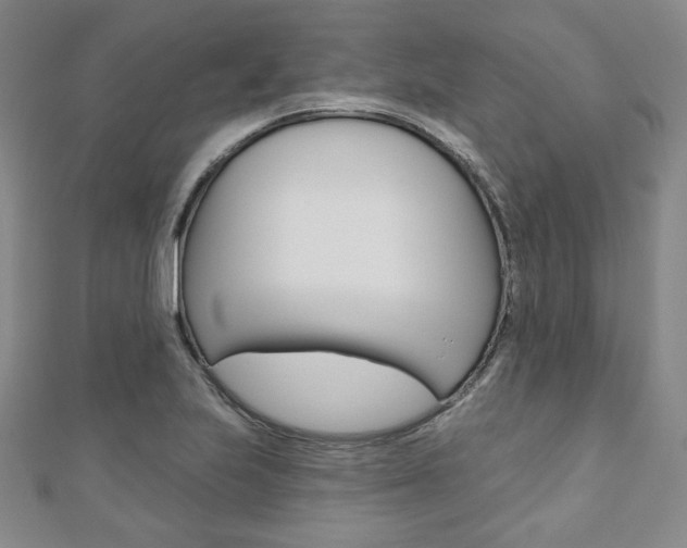 X0000110881223200906180938