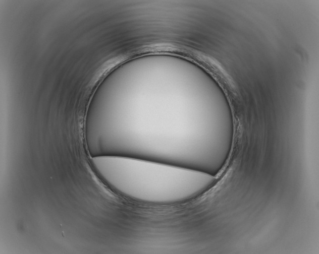 X0000110881225200906180938