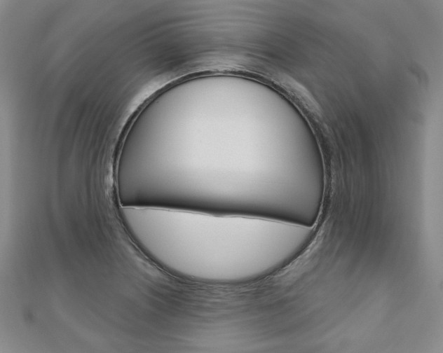 X0000110881226200906180938