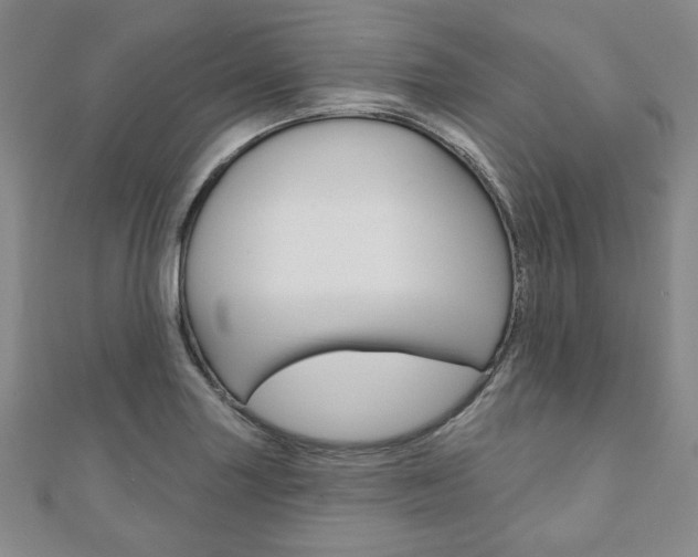 X0000110881227200906180938