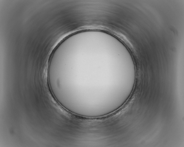 X0000110881228200906180938