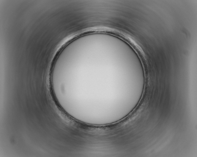 X0000110881229200906180938