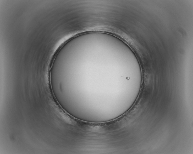X0000110881230200906180938