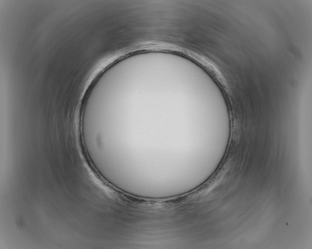 X0000110881231200906180938