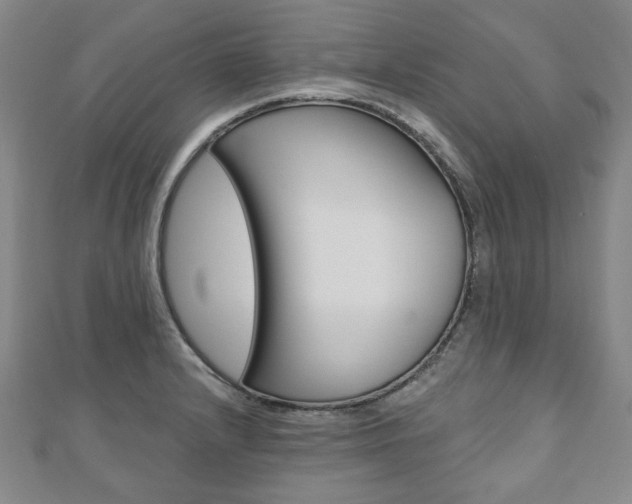 X0000110881232200906180938