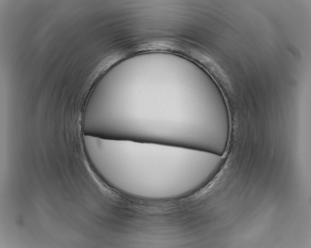 X0000110881233200906180938
