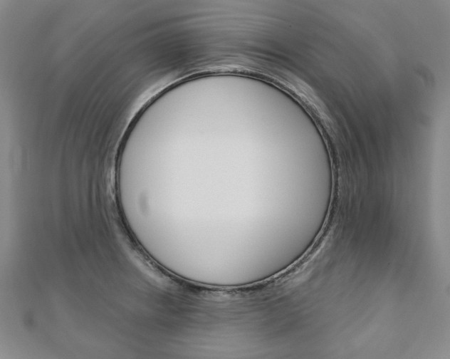 X0000110881234200906180938