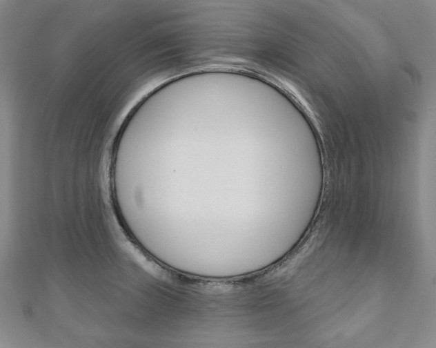X0000110881235200906180938