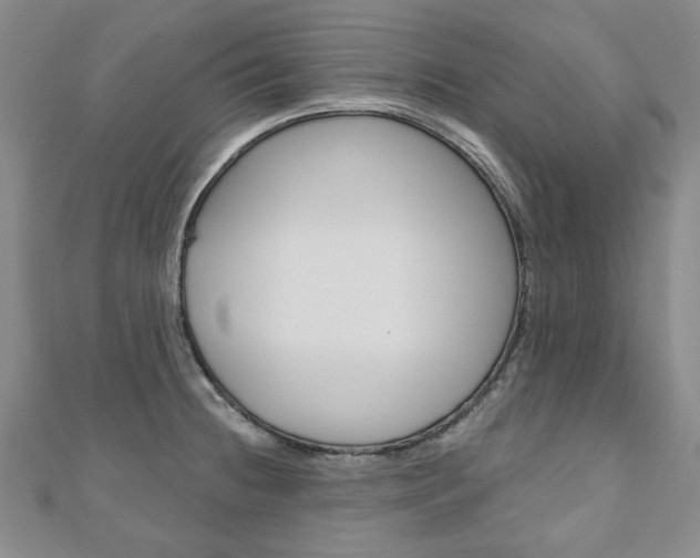 X0000110881236200906180938