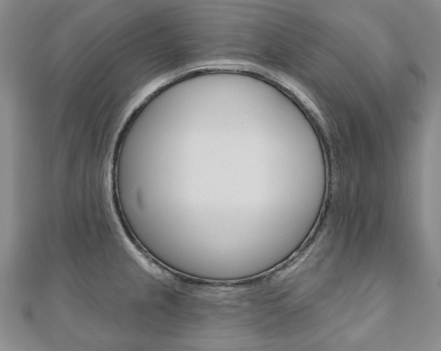 X0000110881237200906180938
