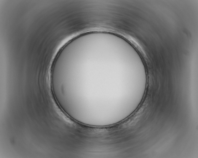 X0000110881238200906180938