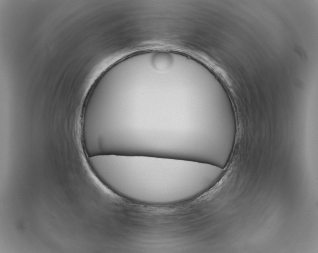 X0000110881239200906180938