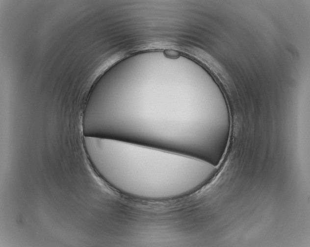 X0000110881241200906180938