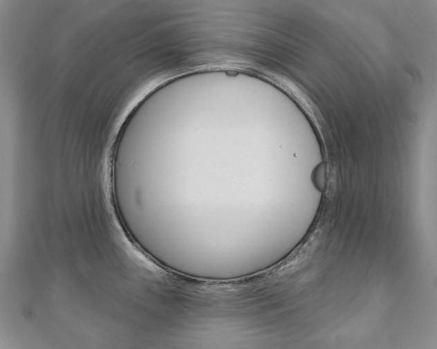 X0000110881243200906180938