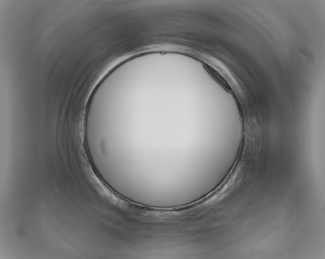 X0000110881244200906180938