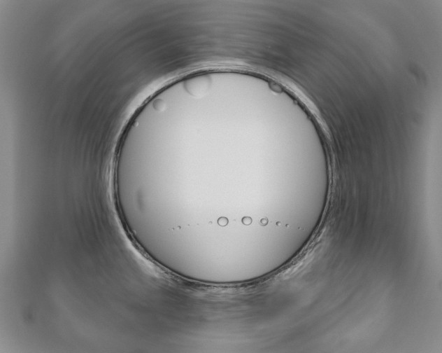 X0000110881245200906180938