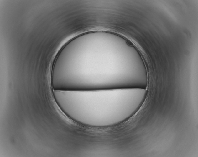 X0000110881246200906180938