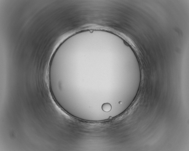 X0000110881247200906180938