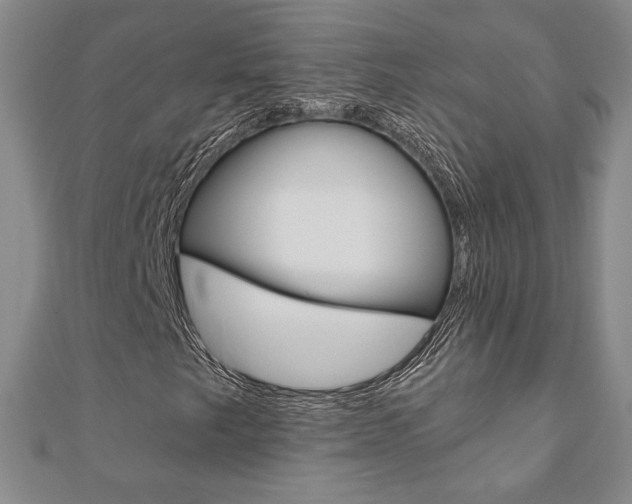X0000110881249200906180938