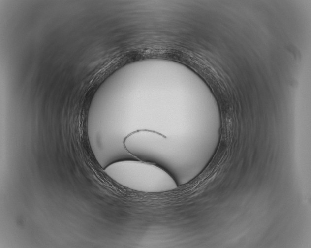 X0000110881250200906180938