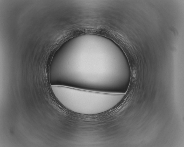 X0000110881252200906180938