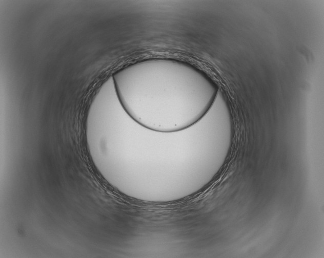 X0000110881253200906180938