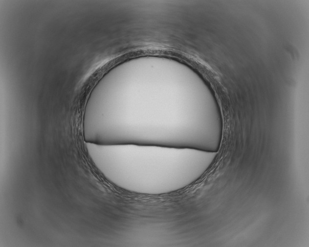 X0000110881255200906180938