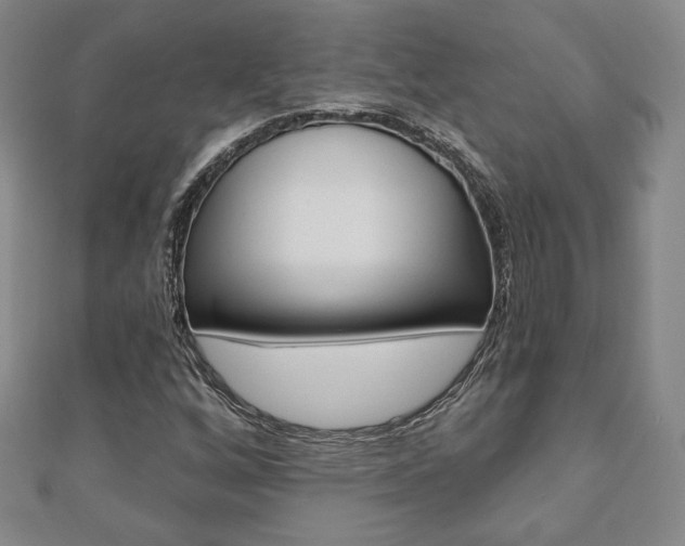 X0000110881256200906180938