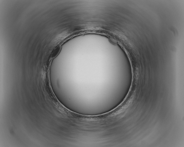 X0000110881257200906180938