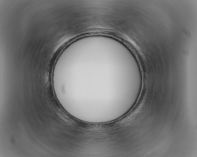 X0000110881259200906180937