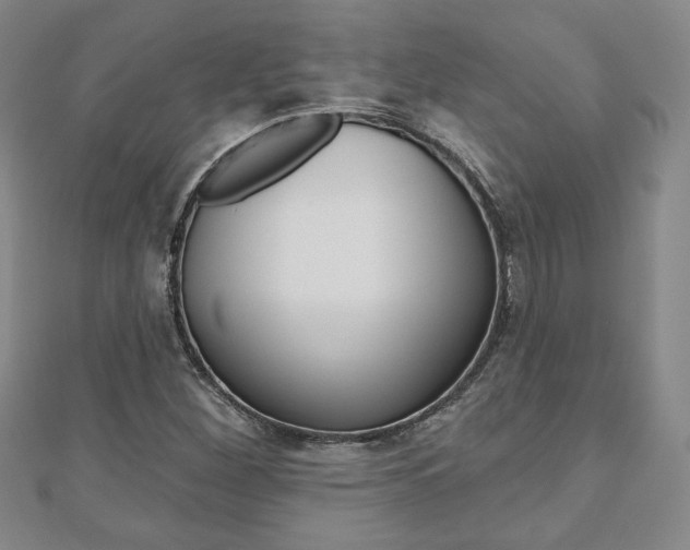 X0000110881260200906180937