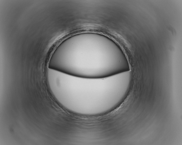 X0000110881261200906180937