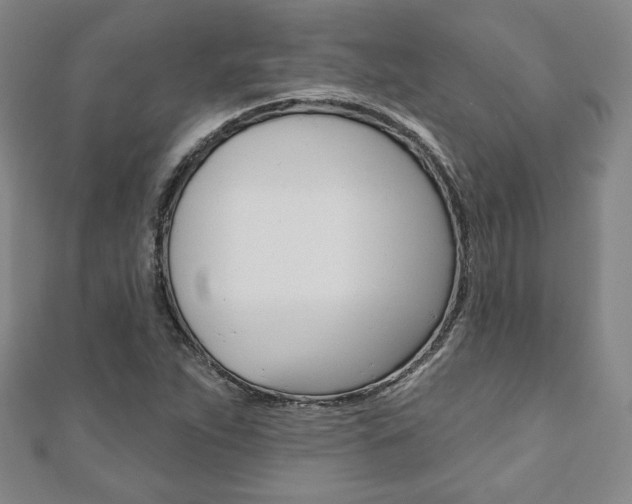 X0000110881263200906180937