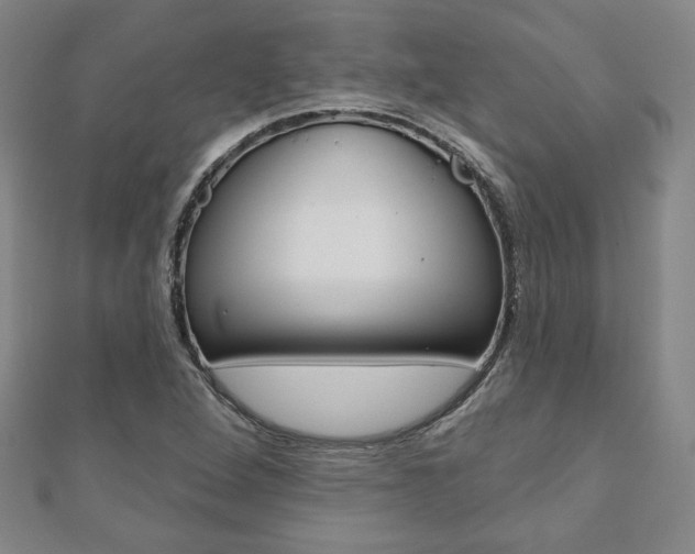 X0000110881264200906180937