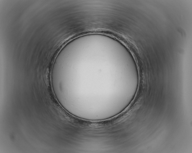 X0000110881265200906180937