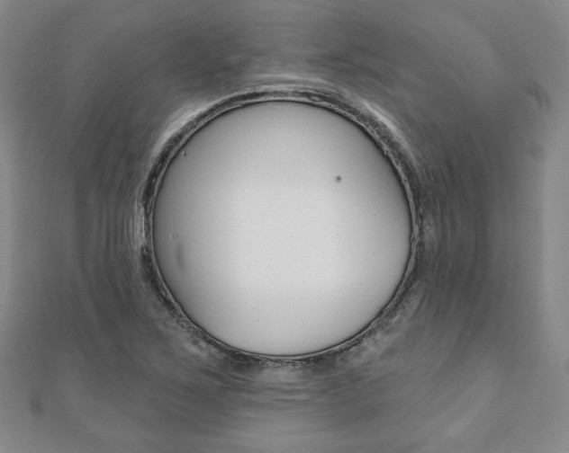 X0000110881267200906180937