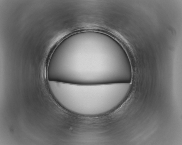 X0000110881269200906180937