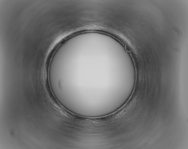 X0000110881270200906180937