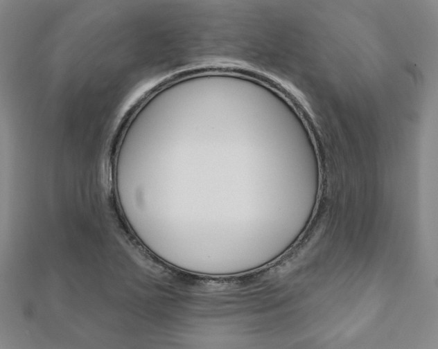 X0000110881271200906180937