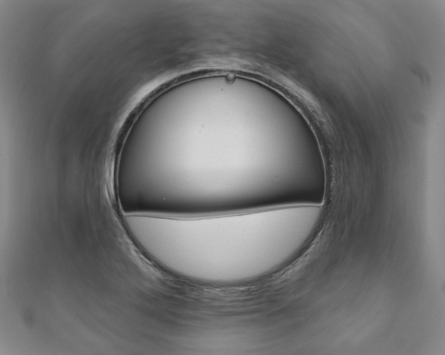 X0000110881272200906180937