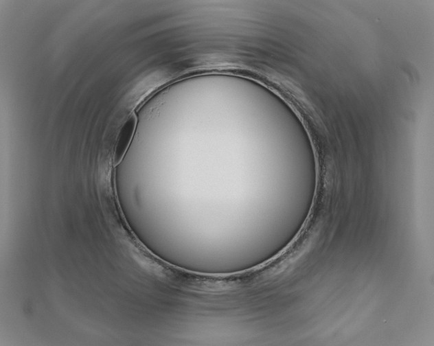 X0000110881273200906180937