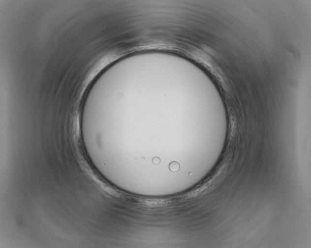X0000110881274200906180937