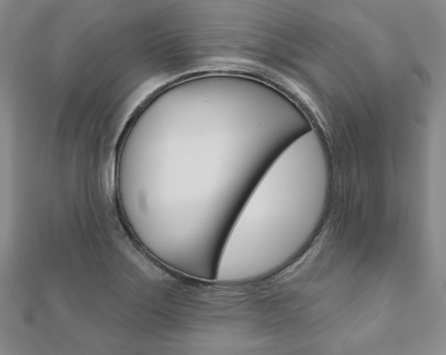 X0000110881275200906180937