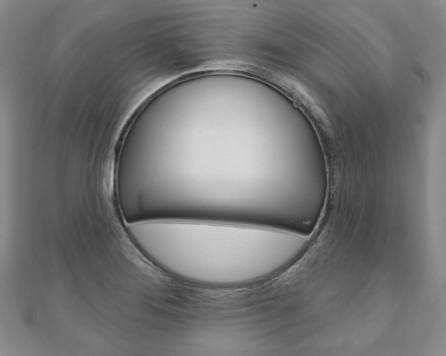 X0000110881276200906180937