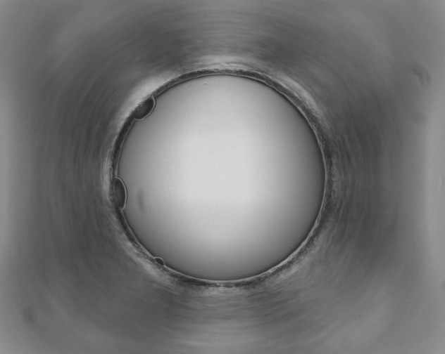X0000110881277200906180937