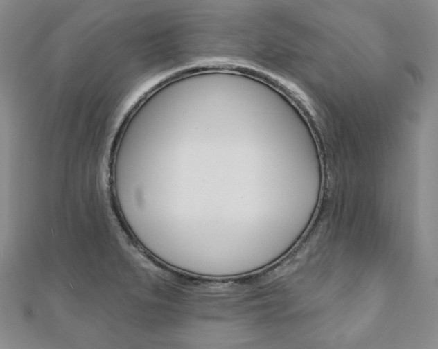 X0000110881279200906180937
